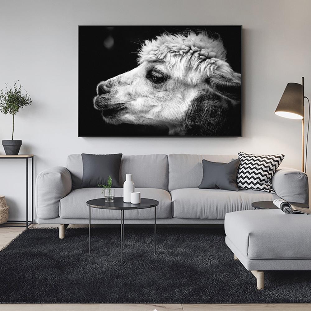 CANVAS - White Alpaca
