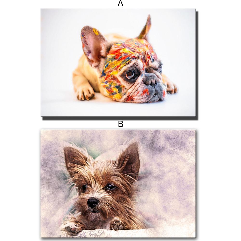 CANVAS - French Bulldog