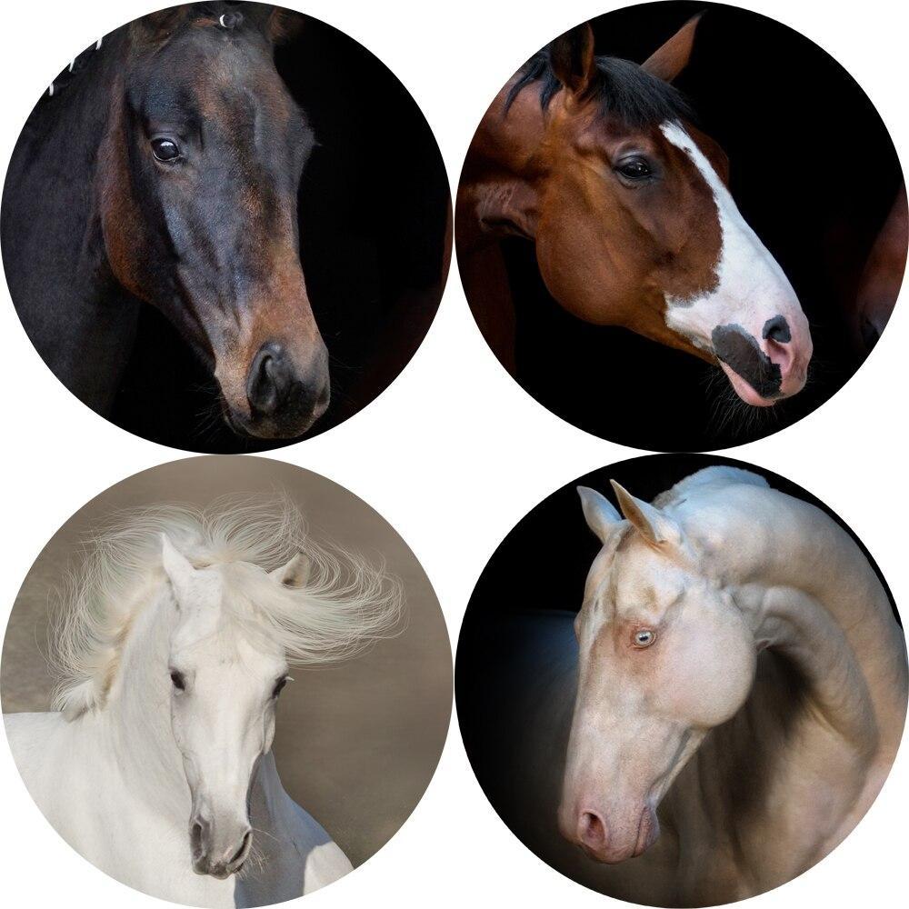 CANVAS - Shades of Horses