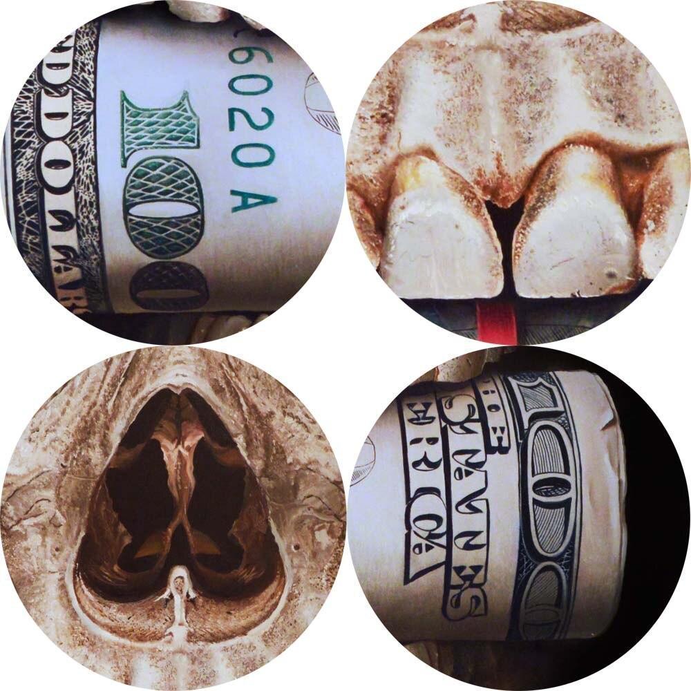 CANVAS - Skull - Money Talk
