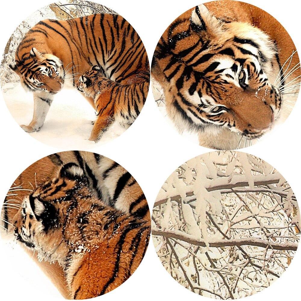 CANVAS - Tigers in the snow