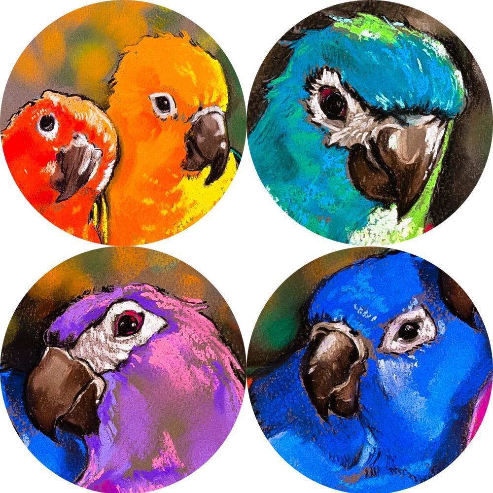 CANVAS - Beautiful Birds