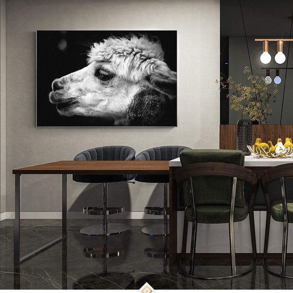 CANVAS - White Alpaca