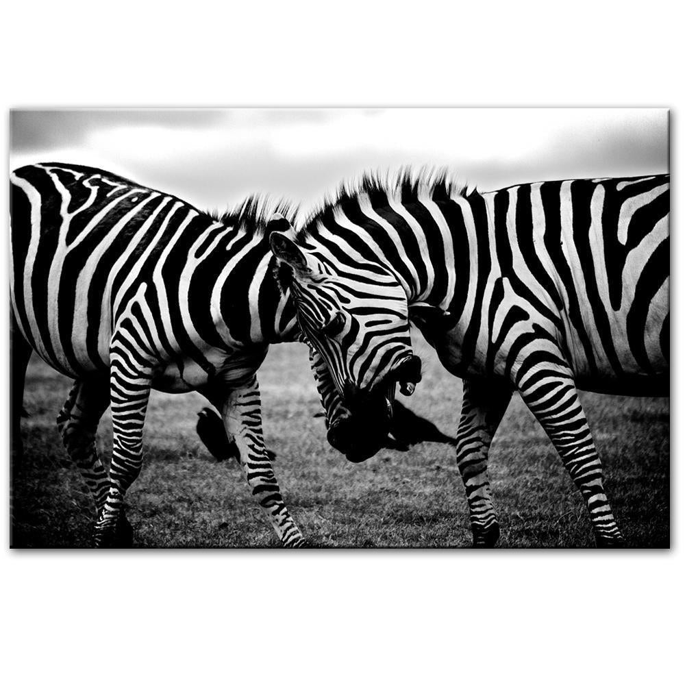 CANVAS - Wild Zebras