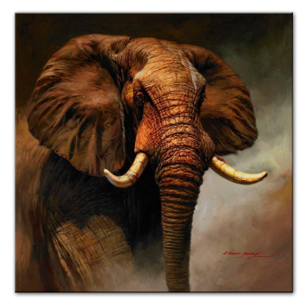 CANVAS - The Elephant