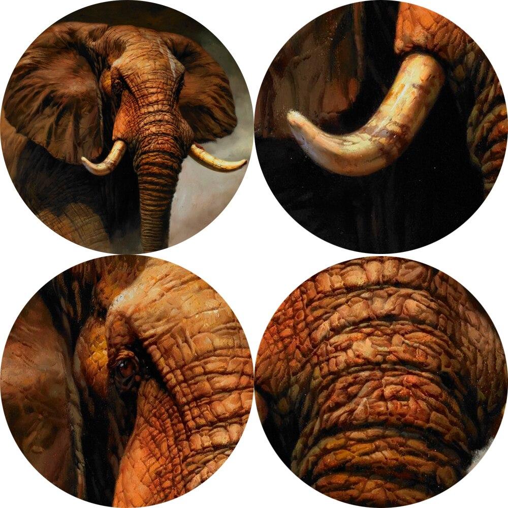 CANVAS - The Elephant