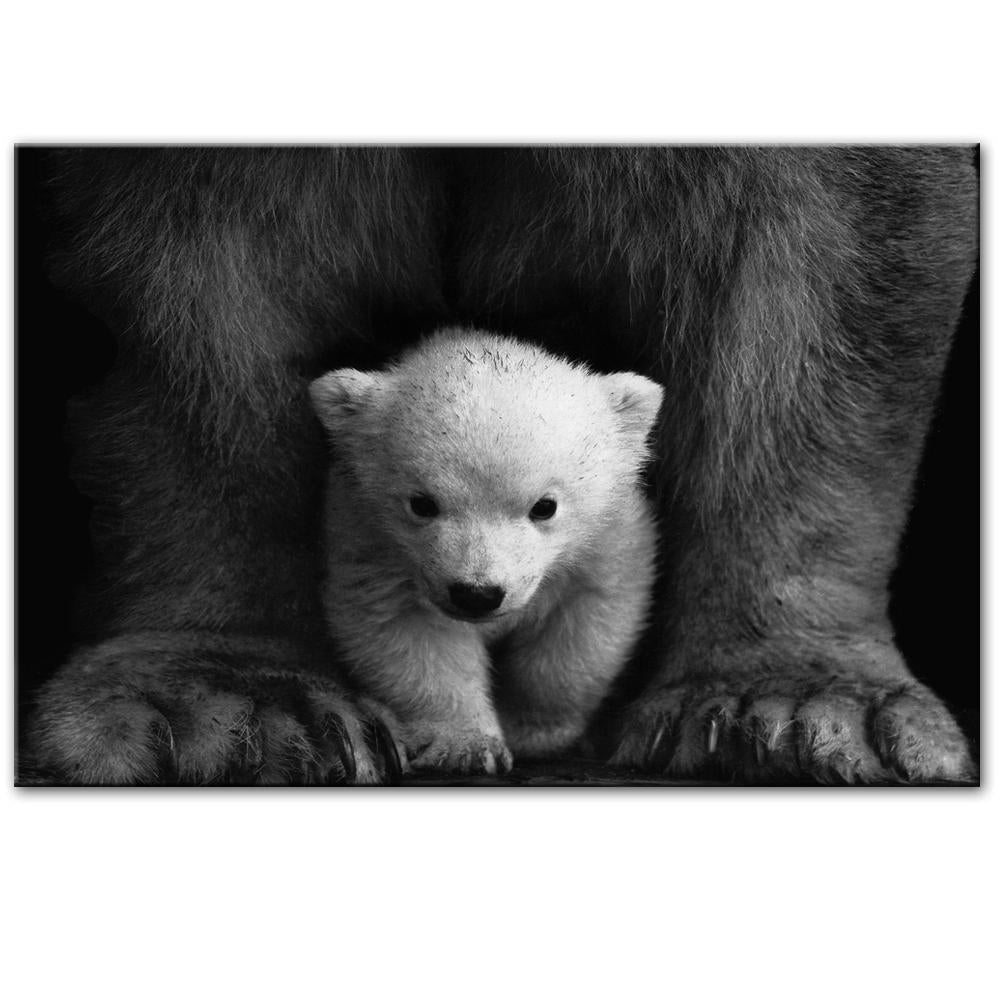 CANVAS - White Bear Cub