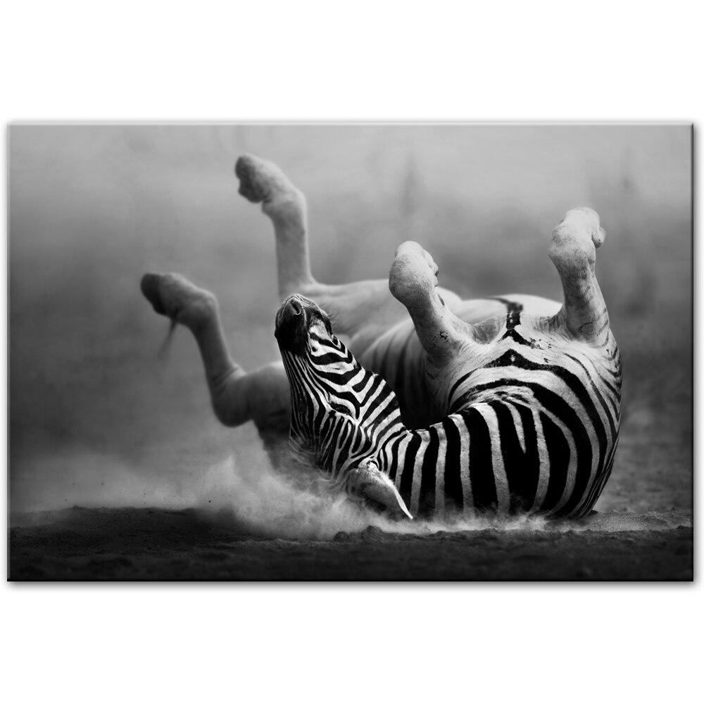 CANVAS - The Zebra Fall